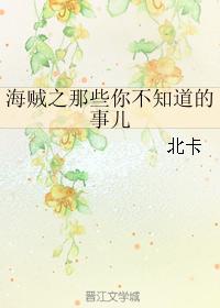 海贼之那些你不知道的事儿